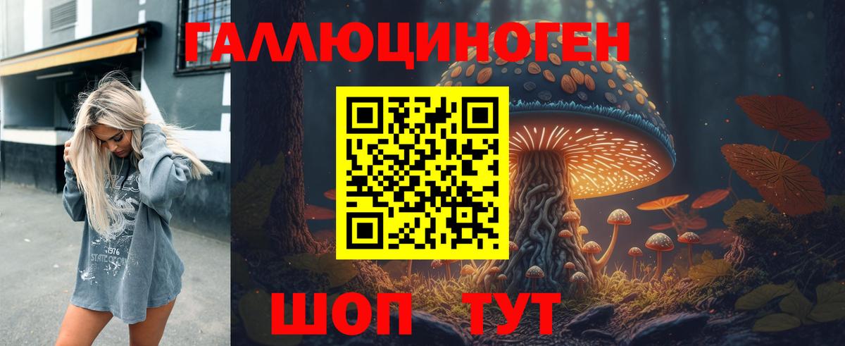 Карасук  Псилоцибиновые грибы Psilocybe  Вход с VPN  Галлюциногенные грибы мухоморы 